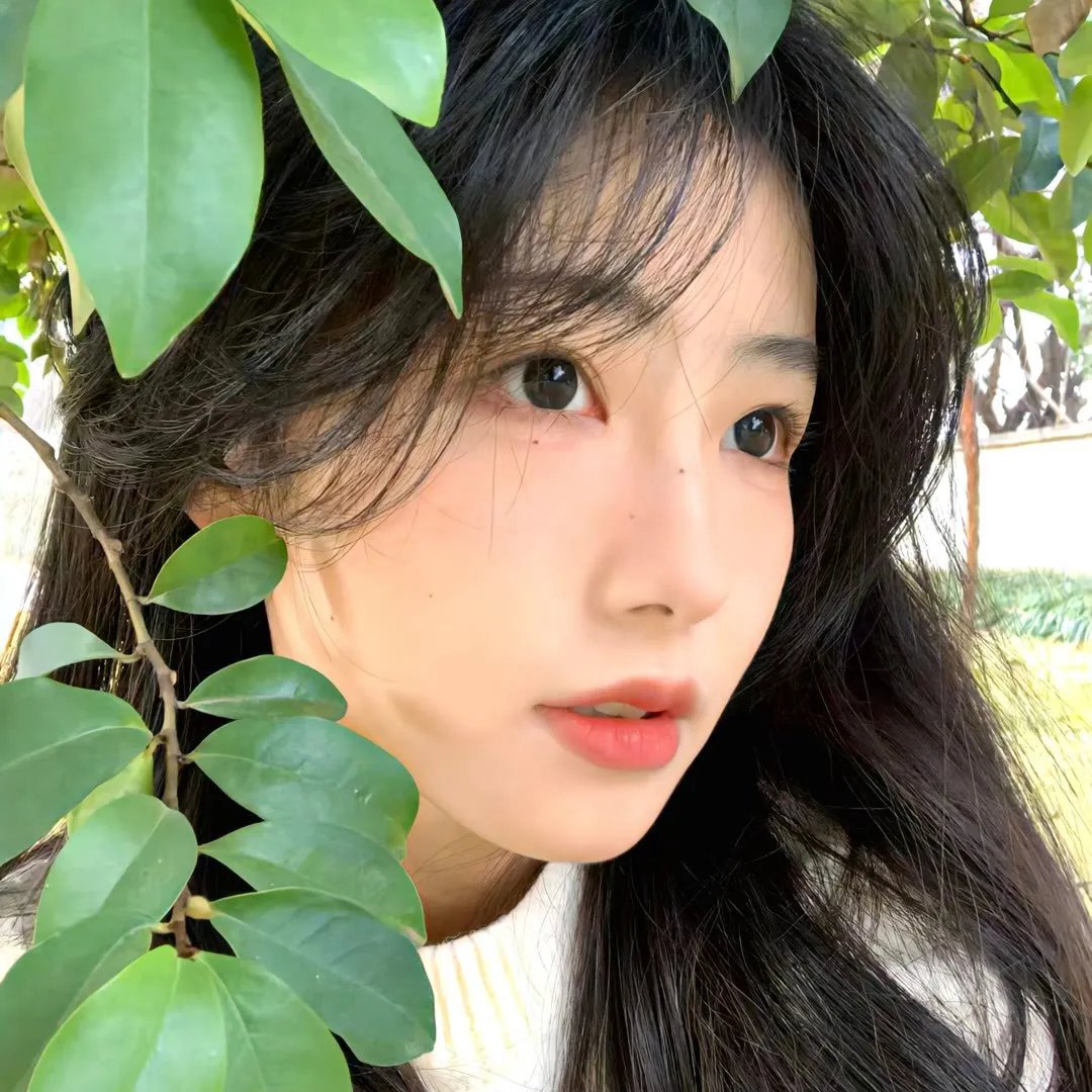 北·南